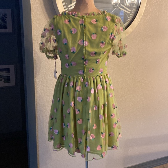 Smak Parlour Strawberries print Woodstock flair dress - Picture 7 of 9